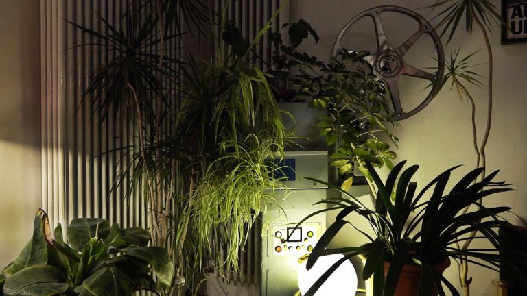 FIDBA: 66 Kinos (2016), de Philipp Hartmann