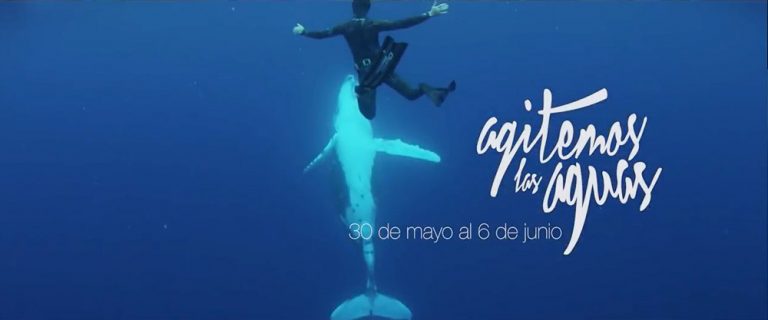 Comenzó el 4to Festival de Cine Ambiental FINCA