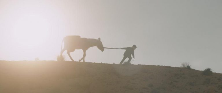 Convocatorias: Festivales de cortos (Vila do Conde y Prokuplje Shorts)