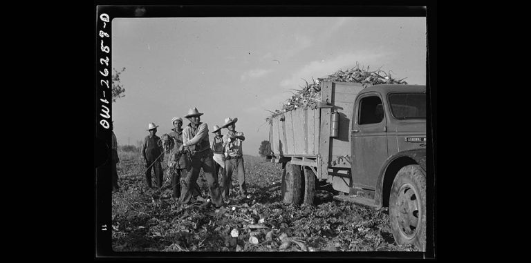 “Secretos de Guerra” ¿Qué sucedía en Latinoamérica durante la Segunda Guerra?, estreno en History