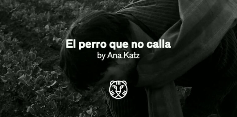 Palmarés del 50 IFFR: “El perro que no calla” ganó la sección Big Screen