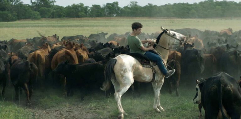 Marché du film: Selección de Goes to Cannes 10